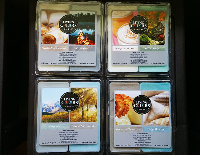 Big Lots (Living Colors) Wax Melts Dual Scents Reviews - September 2017